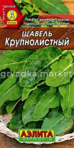 Щавель Крупнолистный (Аэлита)