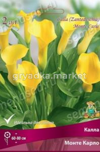 Калла Монте Карло 2шт (насыщенно- желтый) 