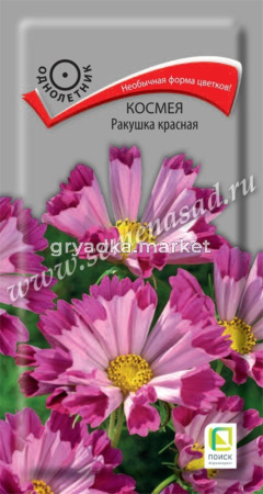 Космея Ракушка красная 0,1г Одн 120см (Поиск)