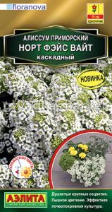 Алиссум Норт фэйс вайт каскадный 12шт Одн 15см (Аэлита)
