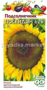 Подсолнечник Посейдон 625 (тип Лакомка) 10г Ранн (Гавриш) Н24