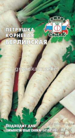 Петрушка Берлинская корневая 2г Позд (Седек)