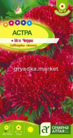 Астра Черри Игл 0,2 г Одн 70см (Сем Алт)
