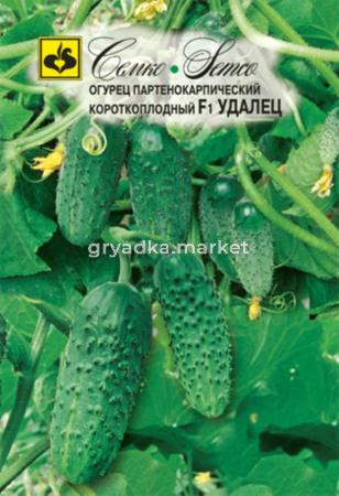Огурец Удалец F1,Парт,без горечи,холод, Семко