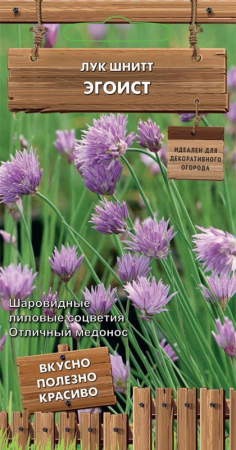 Лук шнитт Эгоист 0,25г (Поиск) Декоративный огород