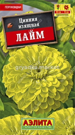 Цинния Лайм изящная (Аэлита)