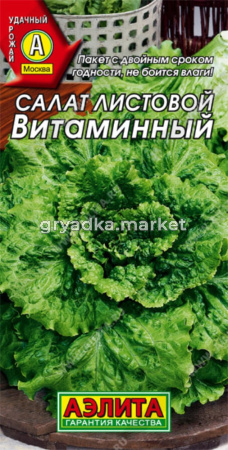 Салат Витаминный лист. Аэлита
