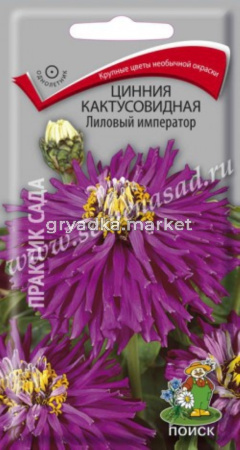 Цинния кактусовидная Лиловый император (ЦВ) (