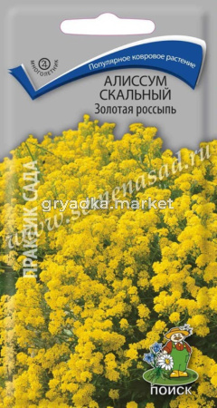 Алиссум Золотая россыпь скальный 0,1гр. Поиск