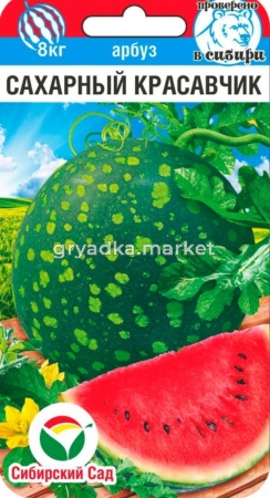Арбуз Сахарный красавчик 5шт Ср (Сиб сад)