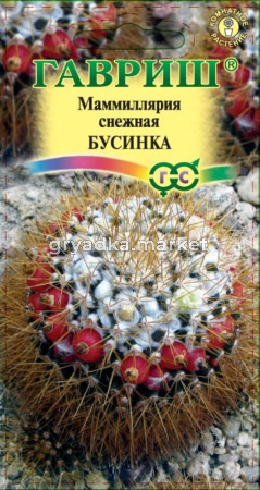 Маммиллярия Бусинках 2 шт. Н20 Гавриш