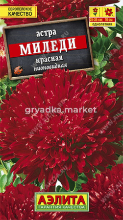 Астра Миледи красная Аэлита