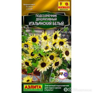 Подсолнечник декор. Итальянский белый 0,3г Одн 120см (Аэлита)
