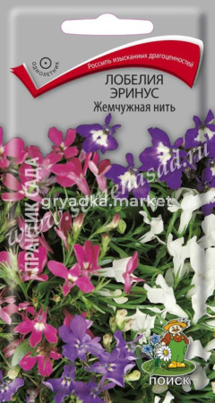 Лобелия Эринус Жемчужная нить 0,1г.КУСТОВАЯ  Поиск
