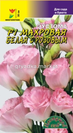 Эустома F1 Махровая белая с розовым Цвет.сад.