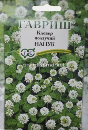 Клевер белый ползучий Нанук 0,1 кг-20 (Гавриш)