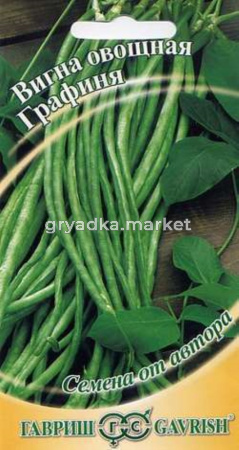 Вигна Графиня 5г автор.селекция Гавриш