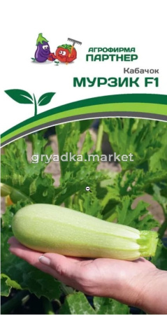 Кабачок Мурзик F1 5шт Ранн (Партнер)
