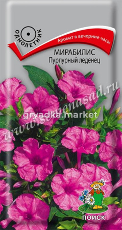 Мирабилис Пурпурный леденец 1г Поиск