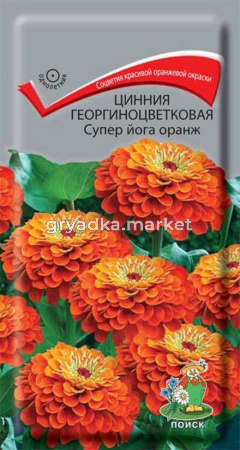 Цинния Супер йога оранж 0,4г (Поиск) георгиноцветковая 