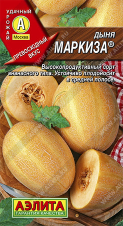 Дыня Маркиза (Аэлита)
