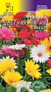Гербера Цветная магия, смесь сортов (Цвет сад)