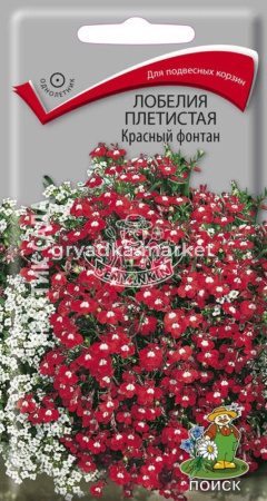 Лобелия Красный фонтан 0,1гр. Поиск
