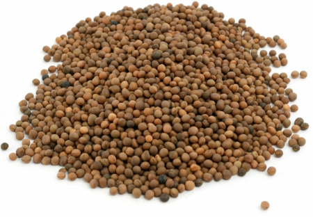 Вика яровая 50 кг- МЕДОНОС