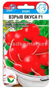 Редис Взрыв вкуса F1 1г Ранн (Сиб Сад)