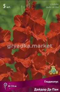 Гладиолус крупноцветковый  Дайдор Де Пан (цвет красно-оранжевый, 5шт, 12-14)