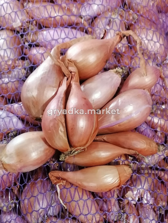 Лук-шалот Семейка ~ 19кг