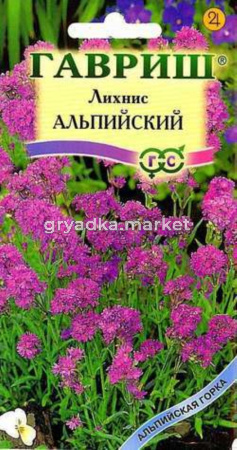 Лихнис альпийский (смолка) 0,05г Альпийская горка