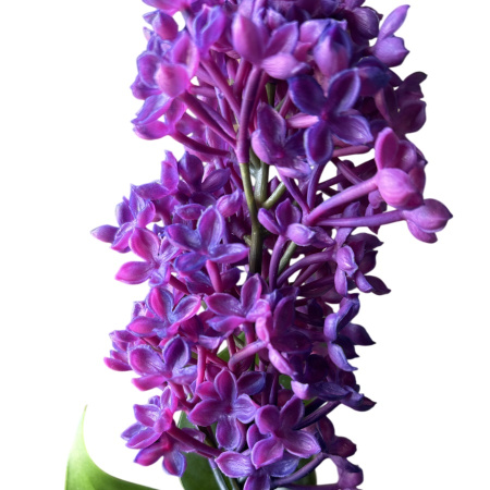 3576-1-54см-Photoroom