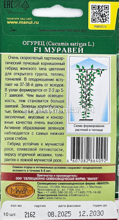 Огурец Муравей F1 10шт Парт Ранн (Манул)1