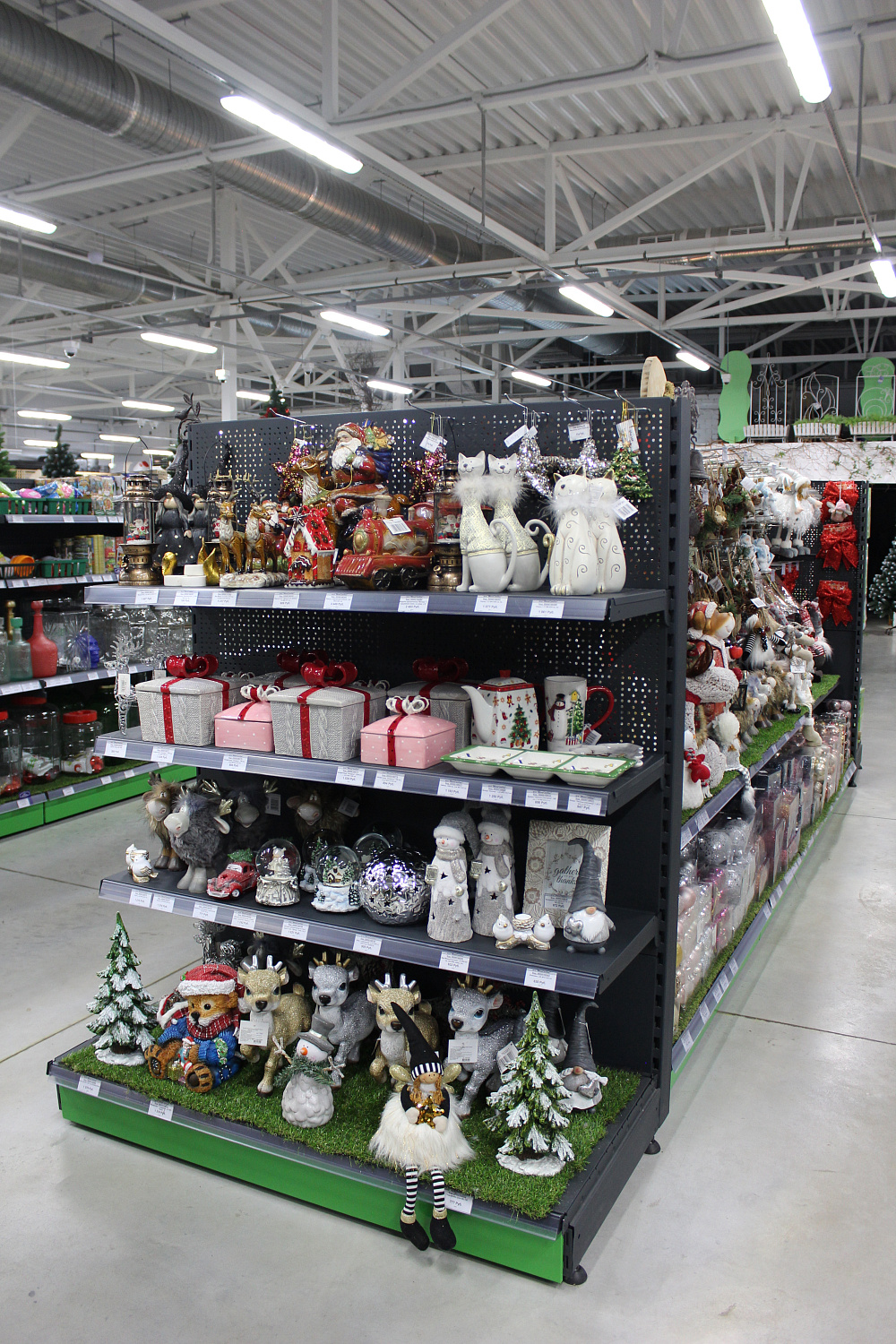 Новый год – 2022: как подружиться с чёрным водяным Тигром