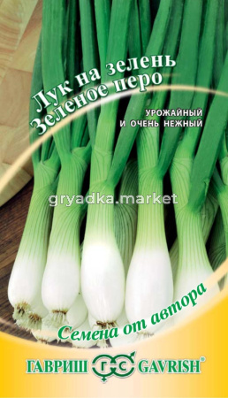 Лук на зелень Зеленое перо 0,5г автор.селекция Гавриш