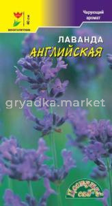 Лаванда Английская Цвет.Сад