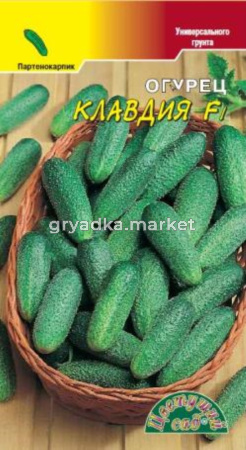 Огурец Клавдия Цвет.сад.