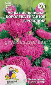 Астра Королева Гигантов в розовом пионовидная 0,2г (УД)