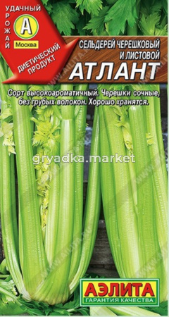 Сельдерей Атлант черешковый Аэлита