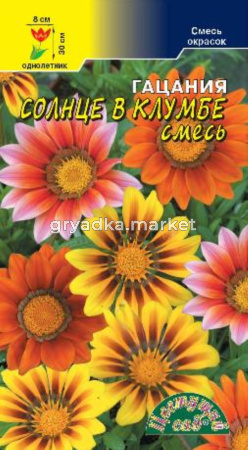 Гацания Солнце в клумбе, смесь Цвет.Сад