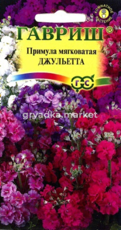Примула Джульетта, мягковатая 10шт Гавриш