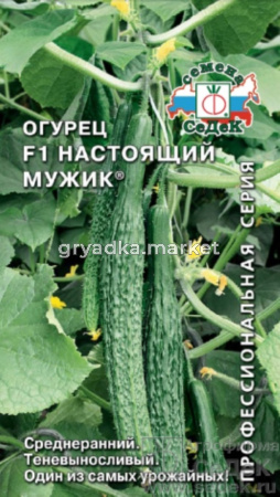Огурец Настоящий мужик F1 0,2гр (Седек)