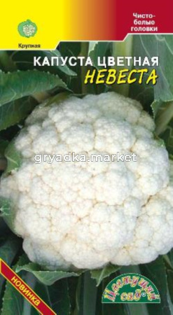 Капуста цветная Невеста Цвет.сад.
