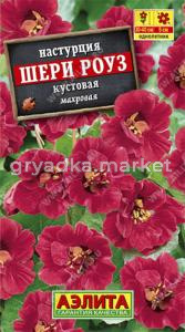 Настурция Шерри Роуз карлик. Аэл.