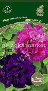 Петуния Дивный сон 10шт. махр. Поиск