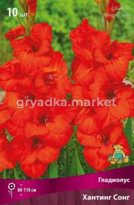 Гладиолус гофрированный Хантинг Сонг 10шт (красно-оранжевый, 10-12, h110см)