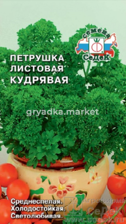 Петрушка Кудрявая (Седек)