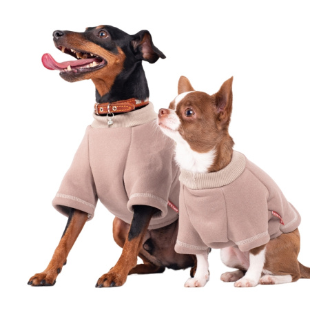 Толстовка р-р L спинка 28-30см, об.гр. 46-50см кофейный-Трезор