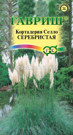 Кортадерия Серебристая (Пампасная трава) 8шт Мн (Гавриш)